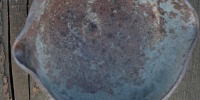 gray metal industrial rusty round  