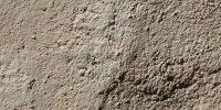 wall random architectural stucco/plaster tan/beige