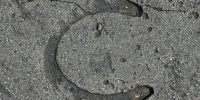 floor curves      textual agricultural concrete gray