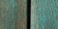 boards fence vertical weathered bleached architectural wood green