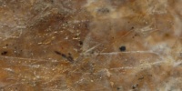 random cracked/chipped industrial fiberglass dark brown