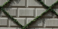 green gray tree/plant concrete architectural rectangular angled wall    