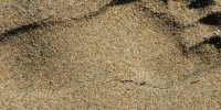 tan/beige sand people natural marine shadow symbol