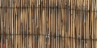 slats fence vertical weathered stained art/design architectural tree/plant dark brown