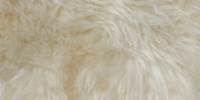 random furry natural fabric animal white