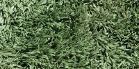 green floor random fake industrial natural grass