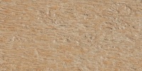 furniture random architectural fiberglass tan/beige